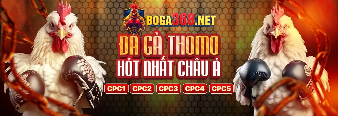 Đá gà trực tuyến kịch tính tại 55win chính thức