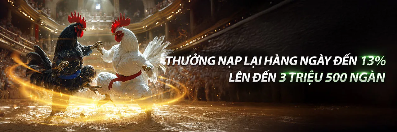 Sân vận động tràn ngập ánh đèn, thể hiện sự sôi động của cá cược thể thao tại 55win chính thức